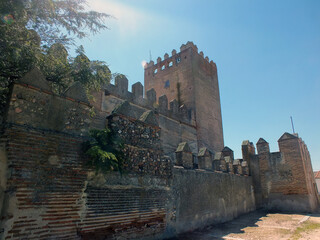 Castillo de Narros de Saldueña
