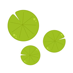 Lily pad vector. Lily cartoon vector on white background. © Supakorn