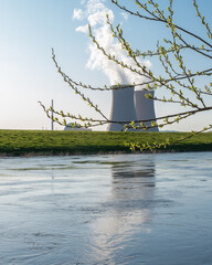 Branch with green leaves  against nuclear power plant.