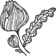 Flower contour vector in sketch style. Elegant decoration. Silhouette vector.