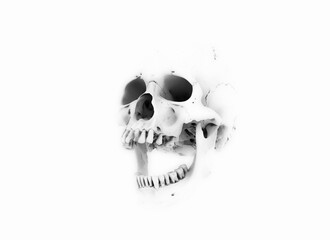 Human skull silhouette in full face on rich colors on a white background. Print for T-shirt or jersey. The concept of death, horror. Spooky Halloween symbol, virus. 3d render illustration.