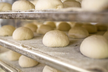 Fototapeta na wymiar Buns ready to be baked. Concept of baked goods at industrial level