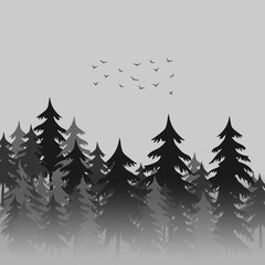 Obraz premium Winter Forest