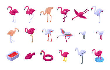Flamingo icons set. Isometric set of flamingo vector icons for web design isolated on white background © ylivdesign