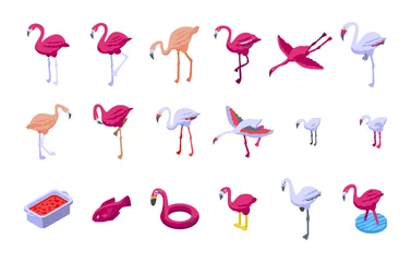 Fototapete Flamingo Flamingo icons set. Isometric set of flamingo vector icons for web design isolated on white background