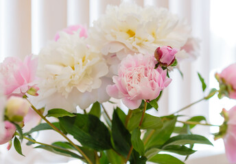 Beautiful bouquets of peonies. Flower backgrounds made of peonies.