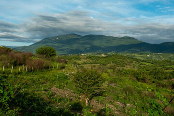 Obraz premium sky in the mountains, blue, nature, trees, mexico, view montañas, arboles, cielo, paisaje mexicano, naturaleza