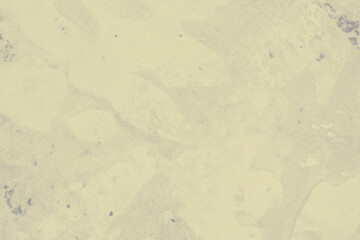 abstract grey and pale yellow colors background for design