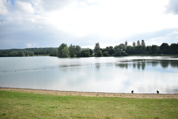 Fond d'écran du lac avec la présence de deux canards. Présence d'un ciel blanc et d'arbres dans le fond