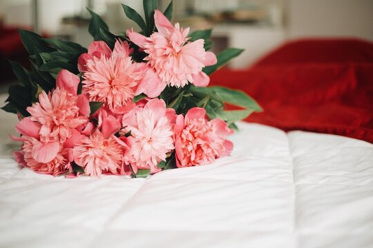 pink peonies in bed. romantic jesture -morning flowers in bed with room for text