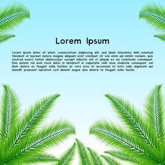 Background palm leaves.