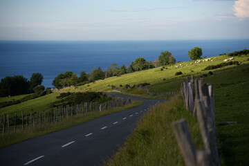 Una carretera en mitad del monte con el mar de fondo y  unas ovejas pastado  en un prado en Hondarribia