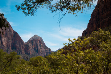 Obraz premium Utah (Zion)