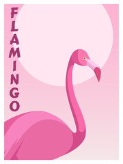 Tropical illustration with pink flamingo bird and summer background. Vector illustration.
