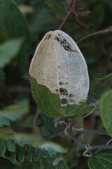 Nature Changes Collection 3