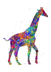 Giraffe Animal watercolor, abstract painting. Watercolor illustration rainbow, colorful, decoration wall art.