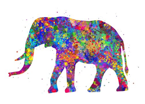 Elephant Animal watercolor, abstract painting. Watercolor illustration rainbow, colorful, decoration wall art.