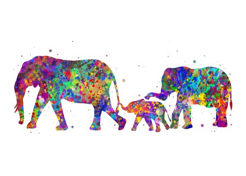 Elephant Family Animal watercolor, abstract painting. Watercolor illustration rainbow, colorful, decoration wall art.