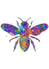 Bee Animal watercolor, abstract painting. Watercolor illustration rainbow, colorful, decoration wall art.
