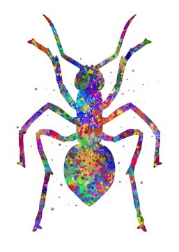 Ant Animal watercolor, abstract painting. Watercolor illustration rainbow, colorful, decoration wall art.