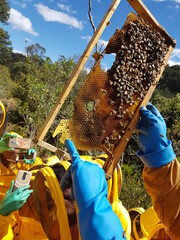 people on the beekeeping