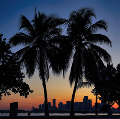 Obraz na płótnie Canvas sunset in the city contrast palms tropical horizon Miami Florida usa vacation travel island sky orange beautiful 