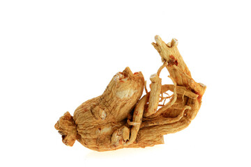 Ginseng on a white background