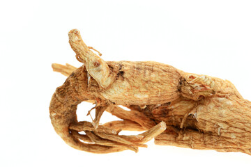 Ginseng on a white background