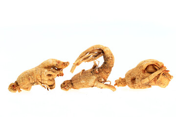 Ginseng on a white background