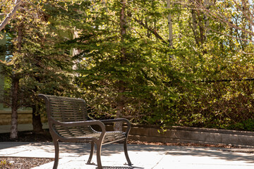 Park bench amount the trees