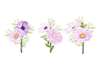 beautiful bouquets flowers illustration