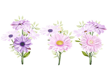 beautiful bouquets flowers illustration