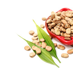 Fava beans,Vicia faba on white background 