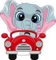 Cartoon baby elephant driving red car - obrazy, fototapety, plakaty