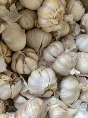 close up garlic in market
