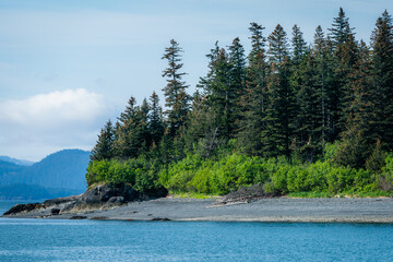 Beautiful shoreline in Alaska