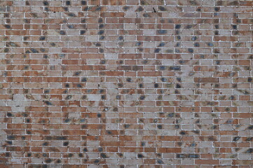 Brick and stone walls, red leaves