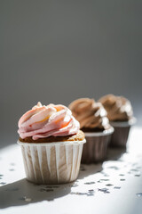 Cupcakes on a white sunny background with a shadow.
