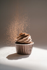 Cupcake on a dark background, which is sprinkled on top.