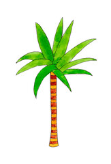 Palm tree isolated on white background. Outlined outline. The illustration is drawn with watercolor and freehand liner.