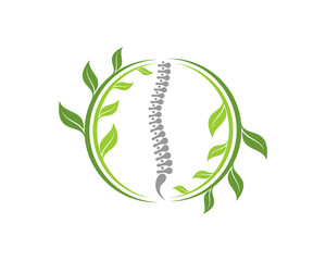 Back spine in the circular nature leaves