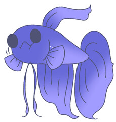 エサを食べるベタ（青色）