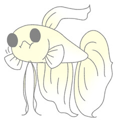 エサを食べるベタ（白色）