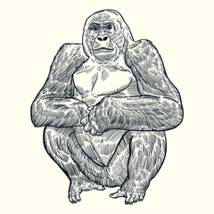 Vintage hand drawn gorilla © Cus