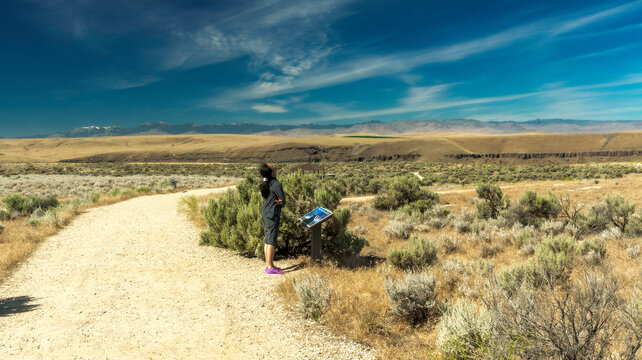 Morley Nelson Snake River Birds Of Prey National Conservation Area, Idaho State