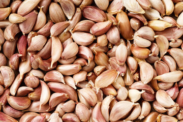 pattern garlic peeled cloves in organic. spice is an herb that is grown around the world. top view copy space banner.