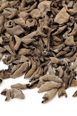 black fungus on white background