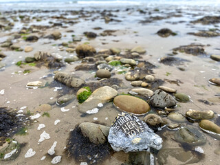 Plastic bag pollution washed up along the ocean rock pools California coast