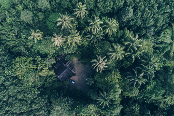 Peaceful house in tropical rain forest with palm tree