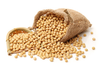 Fototapeta premium gold soybean isolated on white background 